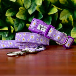 May include: Purple dog collar and leash with a white daisy print and the text "The Bark Side" on the buckle.