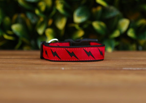 lightning bolt dog collar
