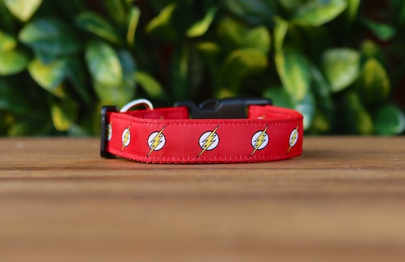 flash dog collar