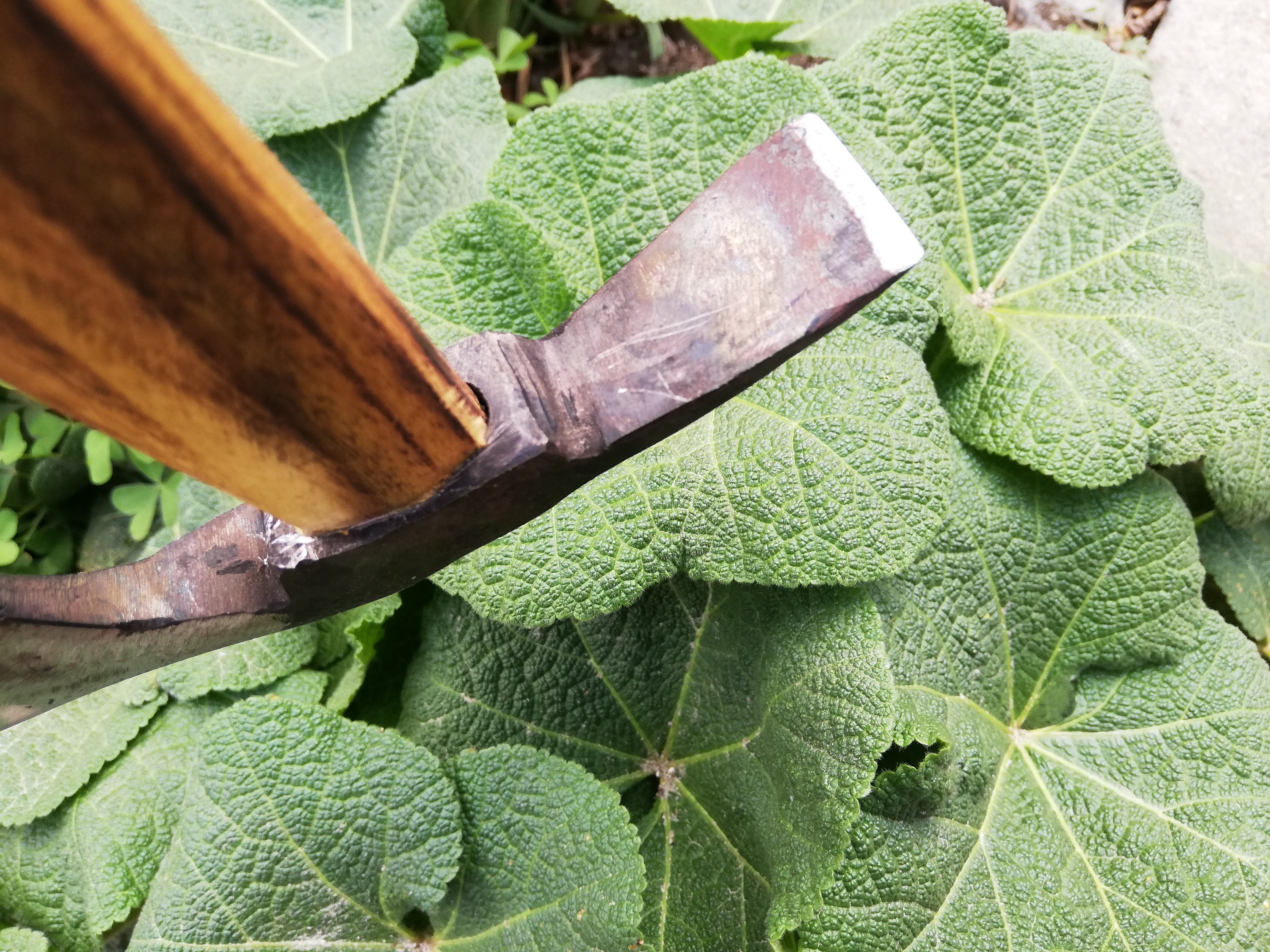 Hand 077 Lbs / 0350kg. Bearded Combo Axe & Adze Etsy