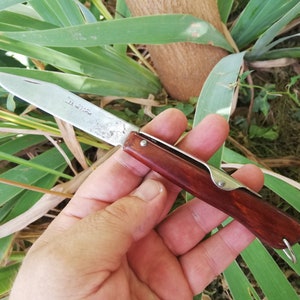 May include: A small pocket knife with a wooden handle and a silver blade. The blade is partially open and the handle is a dark reddish brown color.