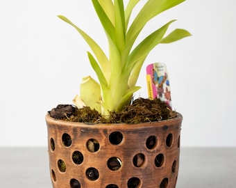 Small Ceramic Orchid Planter – 900 ml / 30.4 fl oz, Side Ventilation Holes