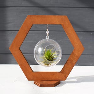 Wood air plant holder. Tillandsia stand with ventilated globe. Boho air plant display for table/shelf, dark walnut finish. Modern plant gift