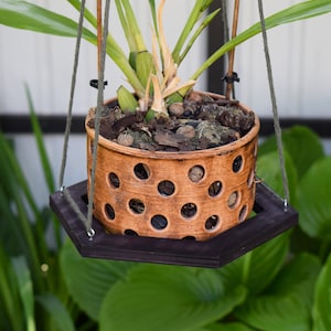 Hexagon Wood Plant Hanger: Wenge Stained Indoor Hanging Planter
