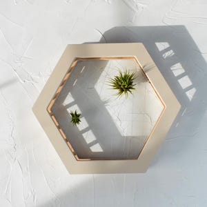 Handmade Air Plant Framed Display: Shelf Stand or Wall Hanging Decor. Air Plant Hanger. Plywood Air Plant Holder. Natural Boho Decor