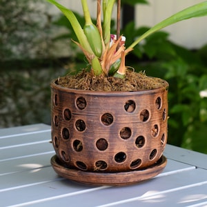 Peut inclure: Un pot de plante en céramique marron avec de nombreuses découpes circulaires, posé sur une soucoupe assortie. Le pot contient de la terre et une plante verte avec de longues feuilles fines. Le pot a un aspect rustique et texturé.