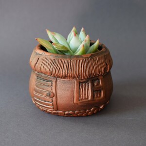 May include: A small terracotta planter shaped like a house with a thatched roof, holding a green succulent plant.