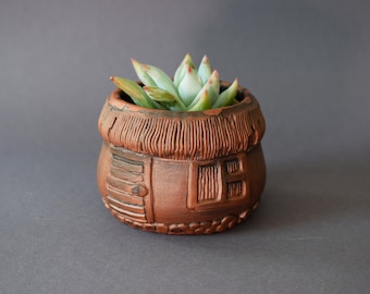 May include: A small terracotta planter shaped like a house with a thatched roof, holding a green succulent plant.