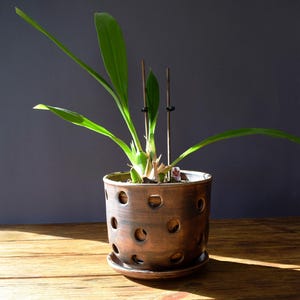 Orchid pots with holes – Handcrafted  Ceramic Orchid Planter for Enhanced Ventilation, Healthy Roots, and Elegant Display