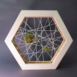 Handmade Air Plant Framed Display: Shelf Stand or Wall Hanging Decor. Air Plant Hanger. Plywood Air Plant Holder. Natural Boho Decor