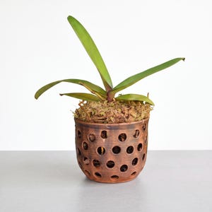 Medium Ceramic Orchid Planter with Holes – 30 fl oz / 1900 ml