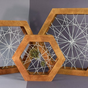 Set Handmade Air Plant Framed Display: Shelf Stand or Wall Hanging Decor. Air Plant Hanger. Plywood Air Plant Holder. Natural Boho Decor