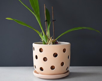 May include: A light peach-colored ceramic planter with a cylindrical shape and evenly spaced circular cutouts throughout the body. The planter sits on a matching circular saucer and contains a green plant with long leaves supported by two thin brown stakes.