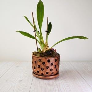 Kleiner Orchideentopf aus Keramik mit Löchern und Untersetzer
