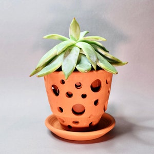 Succulent pot. Orchid pot with hole. Handmade ceramic plants pot. Orchid planter. Succulent planter. Flower pot with hole. Small orchid pot image 10