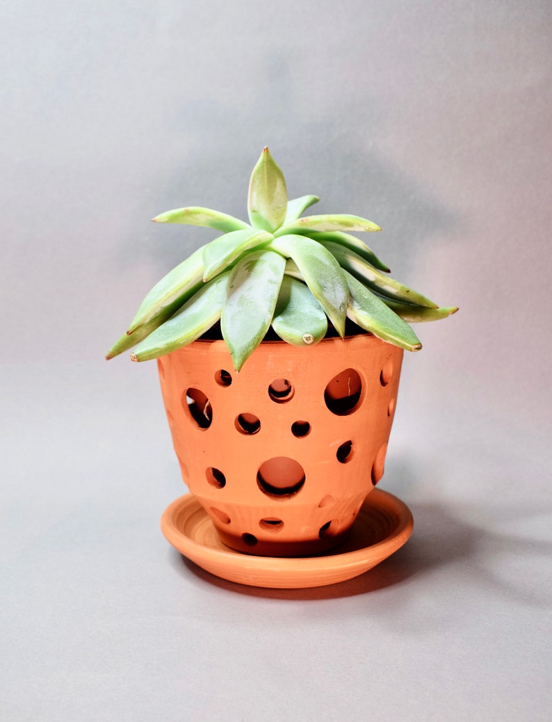 Succulent pot. Orchid pot with hole. Handmade ceramic plants pot. Orchid planter. Succulent planter. Flower pot with hole. Small orchid pot image 10