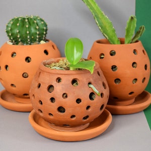 Handcrafted Terracotta Clay Pot with Drainage Holes for Orchids and other Plants