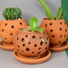 see more listings in the Plant pots section