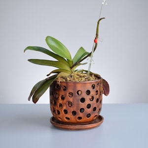 Großer Orchideentopf aus Keramik mit Löchern und Untersetzer