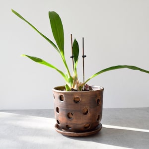 Medium Ceramic Orchid Pot with Holes and Saucer