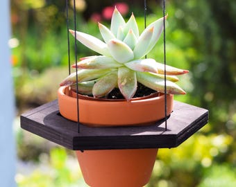 Wooden Hanging Plant Shelf - Multi-Level Hexagon Rope Hanger for Indoor Plants, Boho Wall Planter