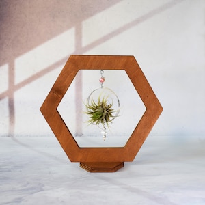 Wooden Air Plant Frame with Beads & Crystals – Dark Walnut Color, Modern Tabletop Air Plant Stand