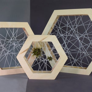 Set Handmade Air Plant Framed Display: Shelf Stand or Wall Hanging Decor. Air Plant Hanger. Plywood Air Plant Holder. Natural Boho Decor