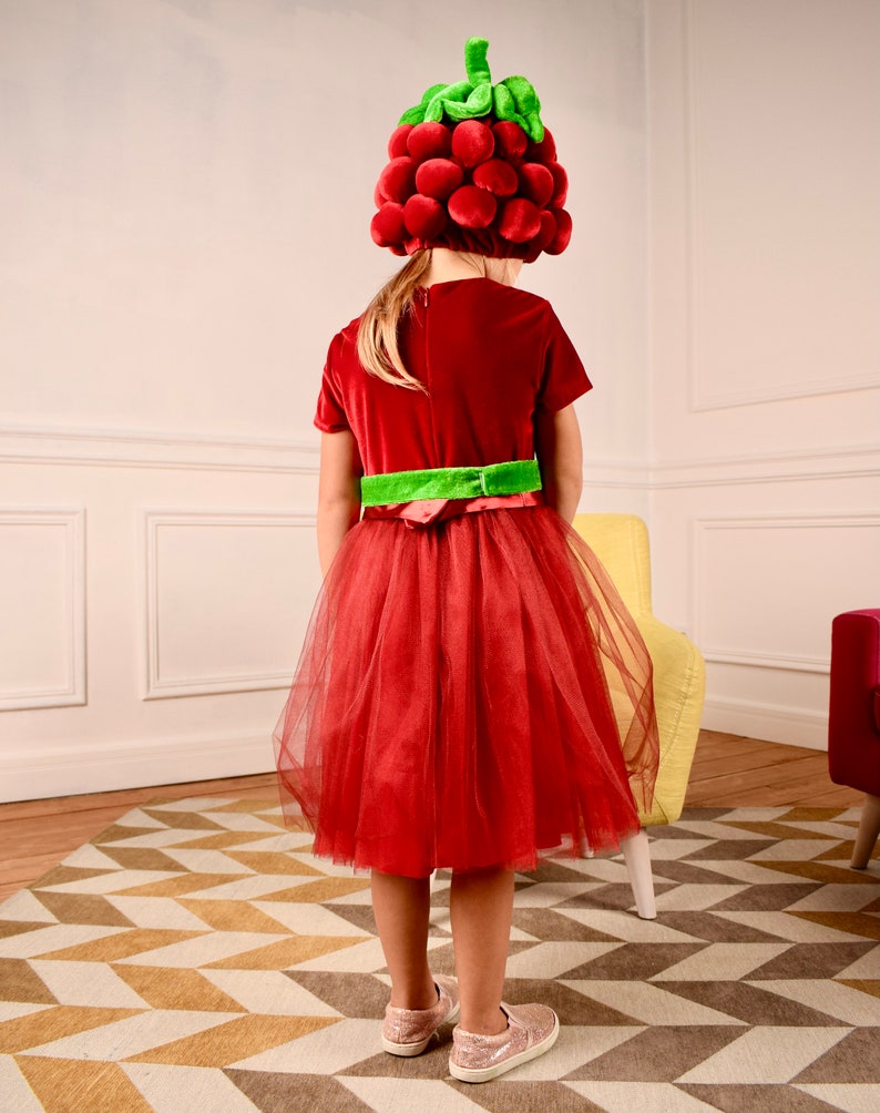 Carnival costume Raspberry girl suit Child costume Etsy