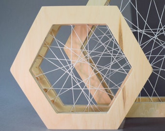 Soporte de madera clara para tillandsias: estante o expositor de pared para varias plantas.