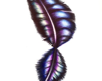 Galaxy Feather