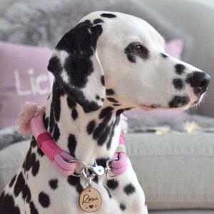 Set Little Princess Dog leather including choker in Pink With fine Cowhide & scissor Cabiners image 4