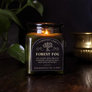 Forest Fog Apothecary Candle, Fall Decor, Green Glass, Spooky Gothic, Dark Academia, Book Lovers, Cozy Moody Aesthetic