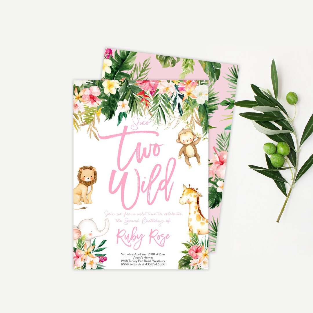 Two Wild Birthday Invitation Girl Invite Tribal Boho Arrow Feathers