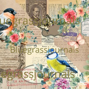 Botanical Collage Sheets Rip Papers,Bird Collage,Butterfly Collage,Fussy Cut,Journal COLLAGE SHEET Set 5,Digital Download Collage Papers