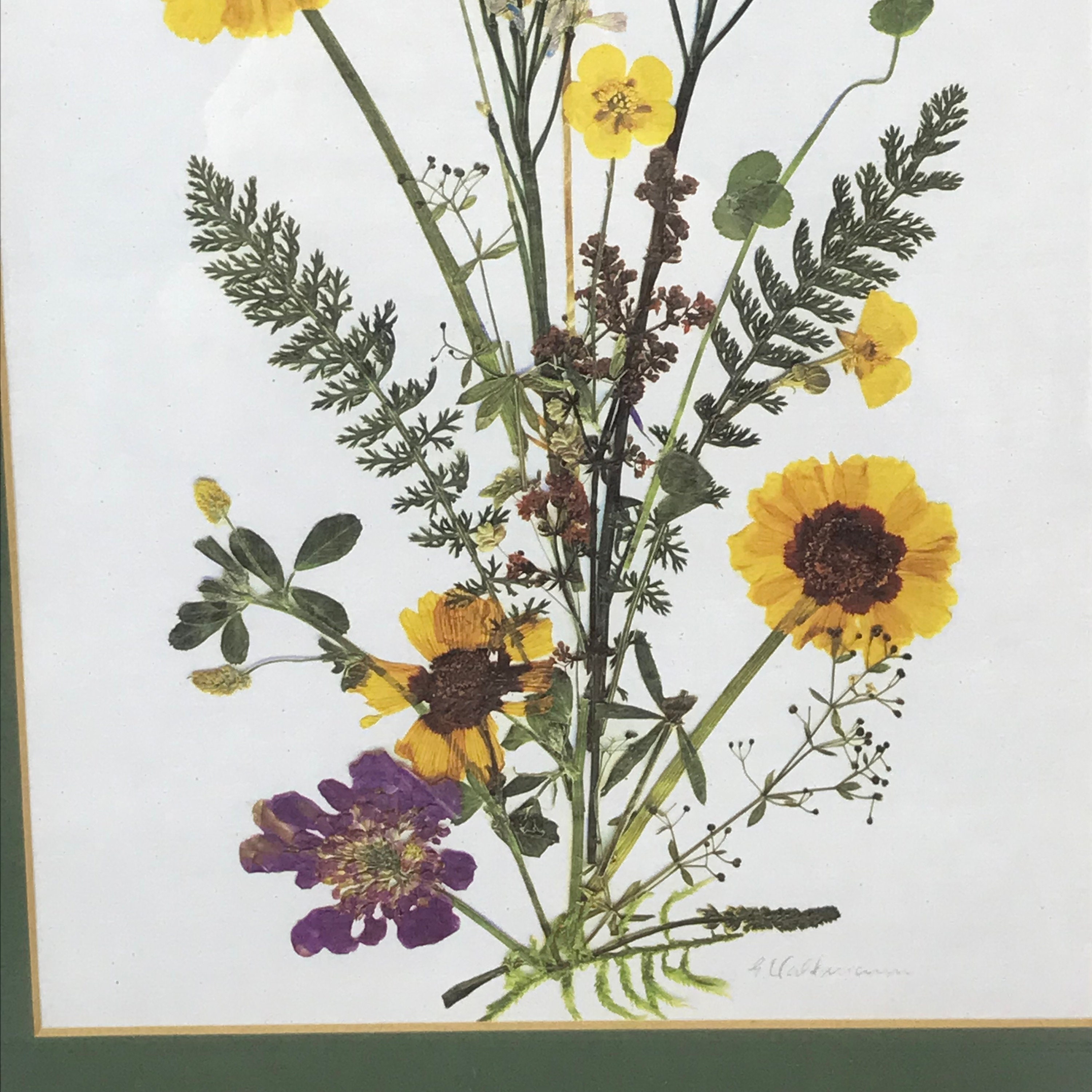 Beautiful Dried Pressed Flower Wall Art Golden Wood Frame Signed & Dated  1980
