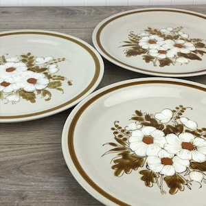 Set of 3 Vintage Mountain Woods Collection Stoneware Dinner Plates, Dried Flowers, Replacement Dinnerware, Japan, Oven to Table, Retro 70s