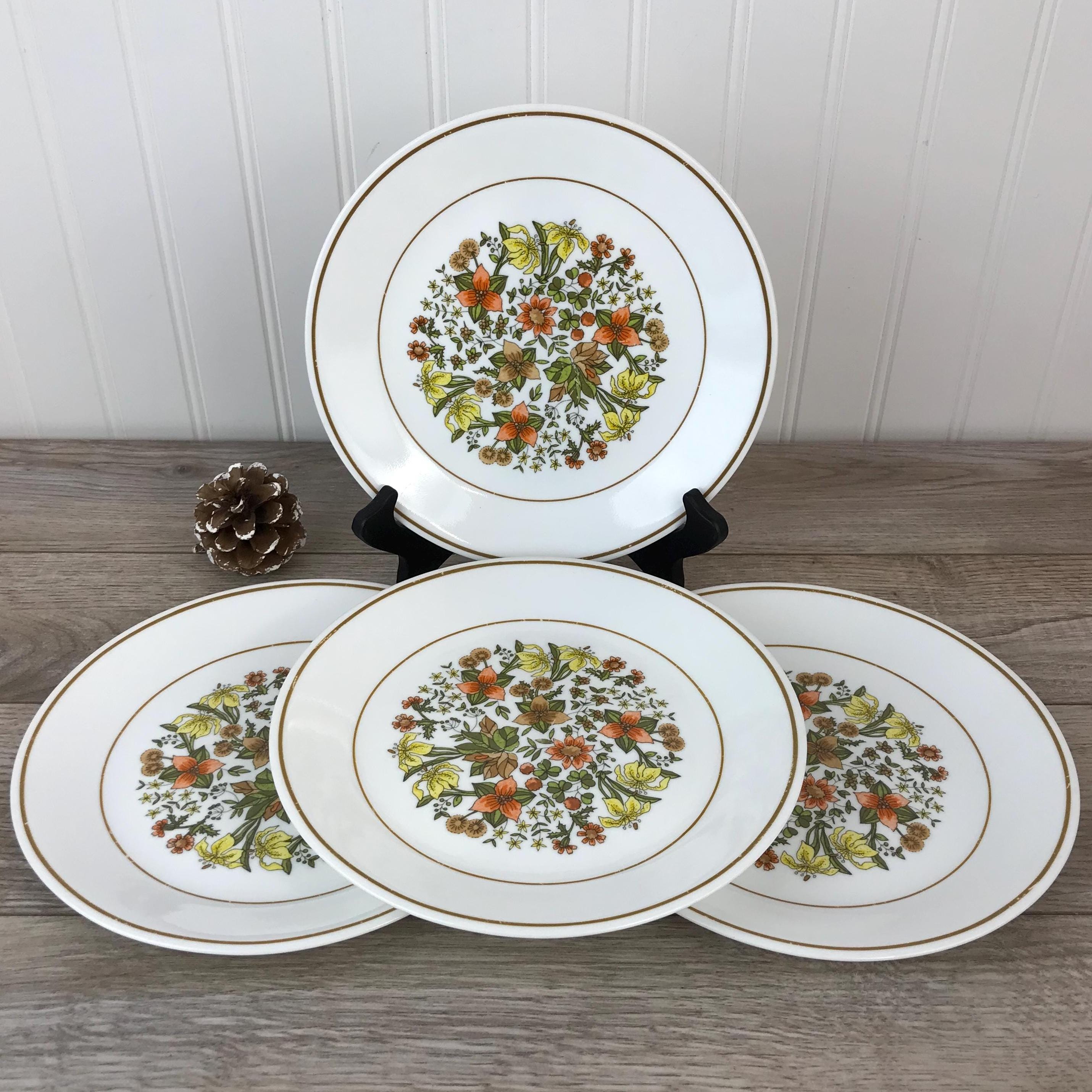 Vintage Corelle by Corning Indian Summer Inch Dinner Plates