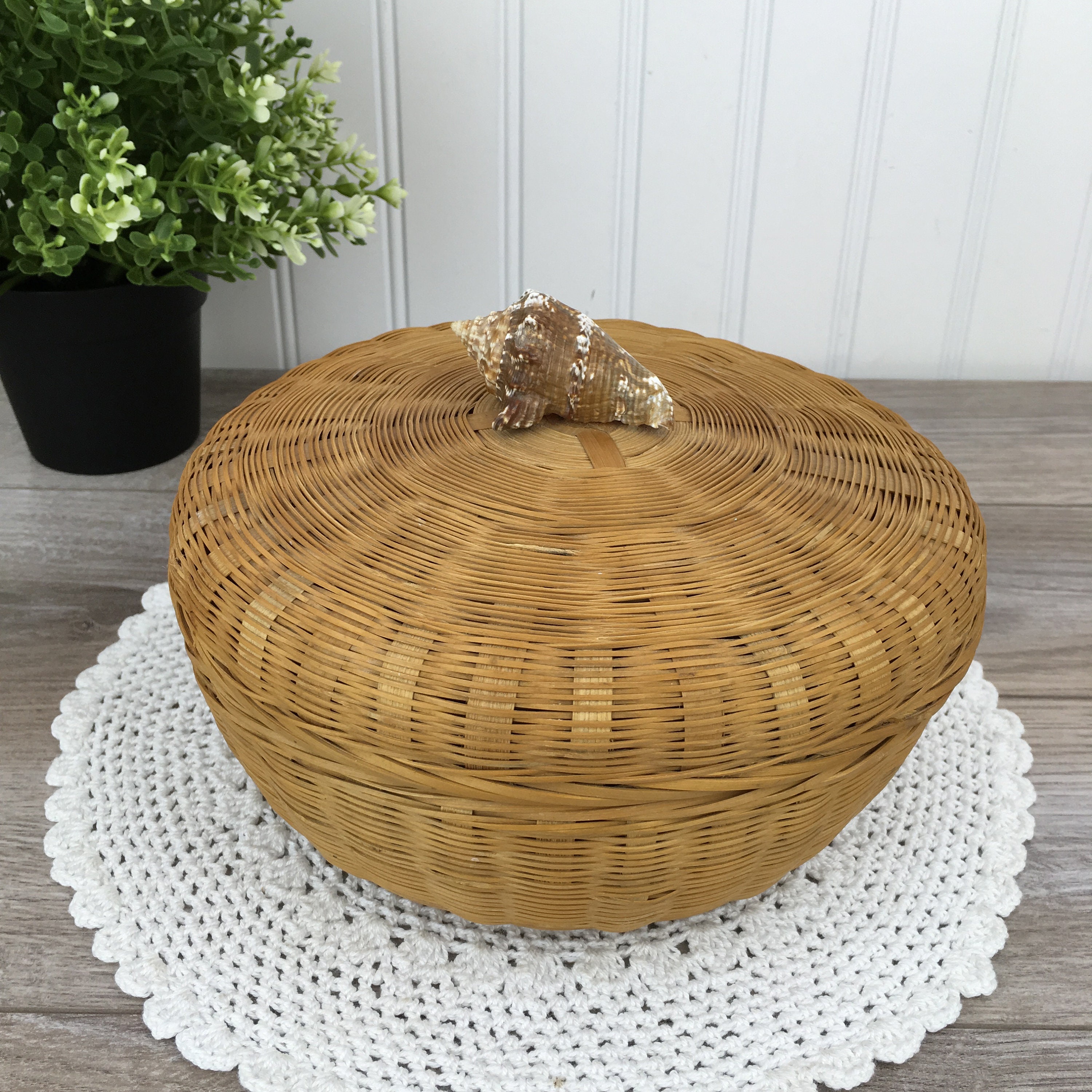 Vintage Wicker Box with Natural Sea Shell on Lid Woven Wicker Etsy