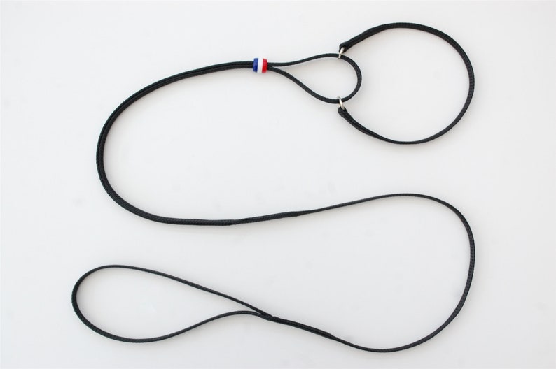 Fine Martingale Allinone Dog Lead and Collar Perfect for the Show