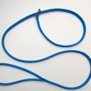 May include: A bright blue dog lead with a silver metal ring.
