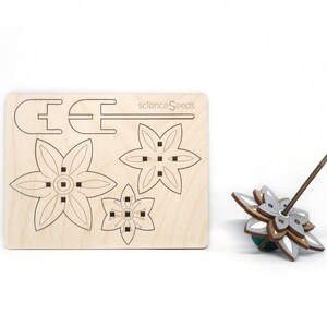 Dahlia Flower Spinning Top Kit, DIY Tops, Wooden laser cut tops