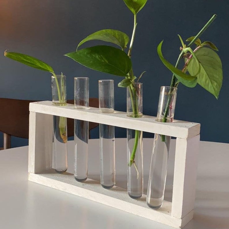 Five Glass Tube Plant Propagation Station Etsy