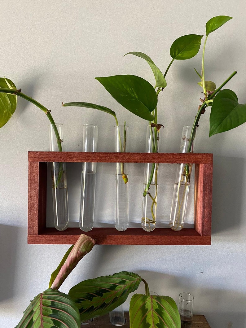 Five Tube Plant Propagation Station Etsy