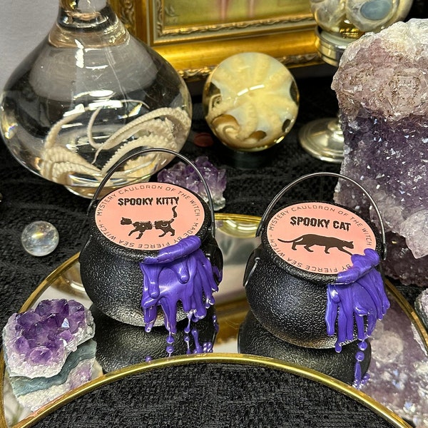 Mystery Cauldrons - Kitty Cat Mystery Box - Witches Cauldron - Jewelry Mystery Box - Gothic Gift - Gift Idea Goth - Surprise Box