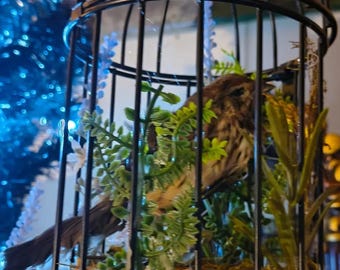 Mummified Sparrow in Birdcage with Faux Moss