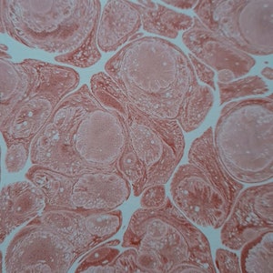 Handmade Marbled Paper: 50x35 cm Ebru Art, Bookbinding Endpaper
