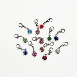 May include: Assortment of 12 silver charm clips with colorful rhinestones. The charms feature a variety of colors including red, pink, blue, green, and clear.