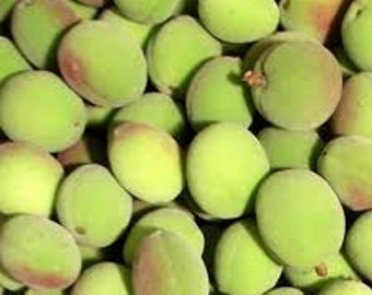 Albaricoque fresco-2.5 libras.-Envío estándar incluido.