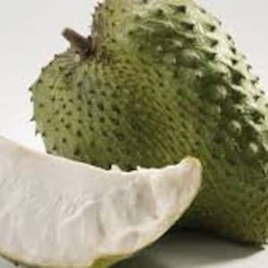 May include: A whole green soursop fruit with a white, fleshy, and slightly curved slice next to it.