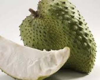 Fresh Soursop, Guanabana fruits, 2lbs-2.5lbs-Standard Shipping included.